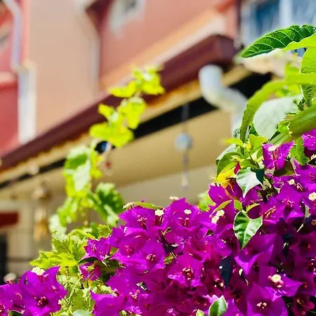 Kusadasi'nda Harika Nida 8 Vila Kusadası